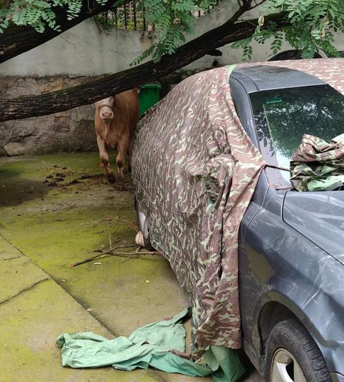 �����������Щ ������ݱ�������