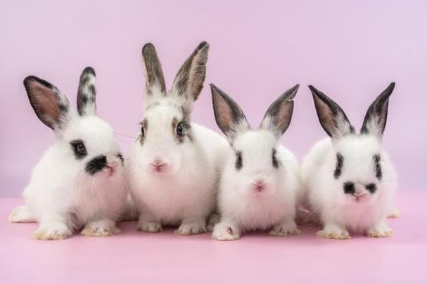 最新一月射手座运势如何 78年属马已婚女射手座今日运势 最新一月射手座运势如何 78年属马已婚女射手座今日运势