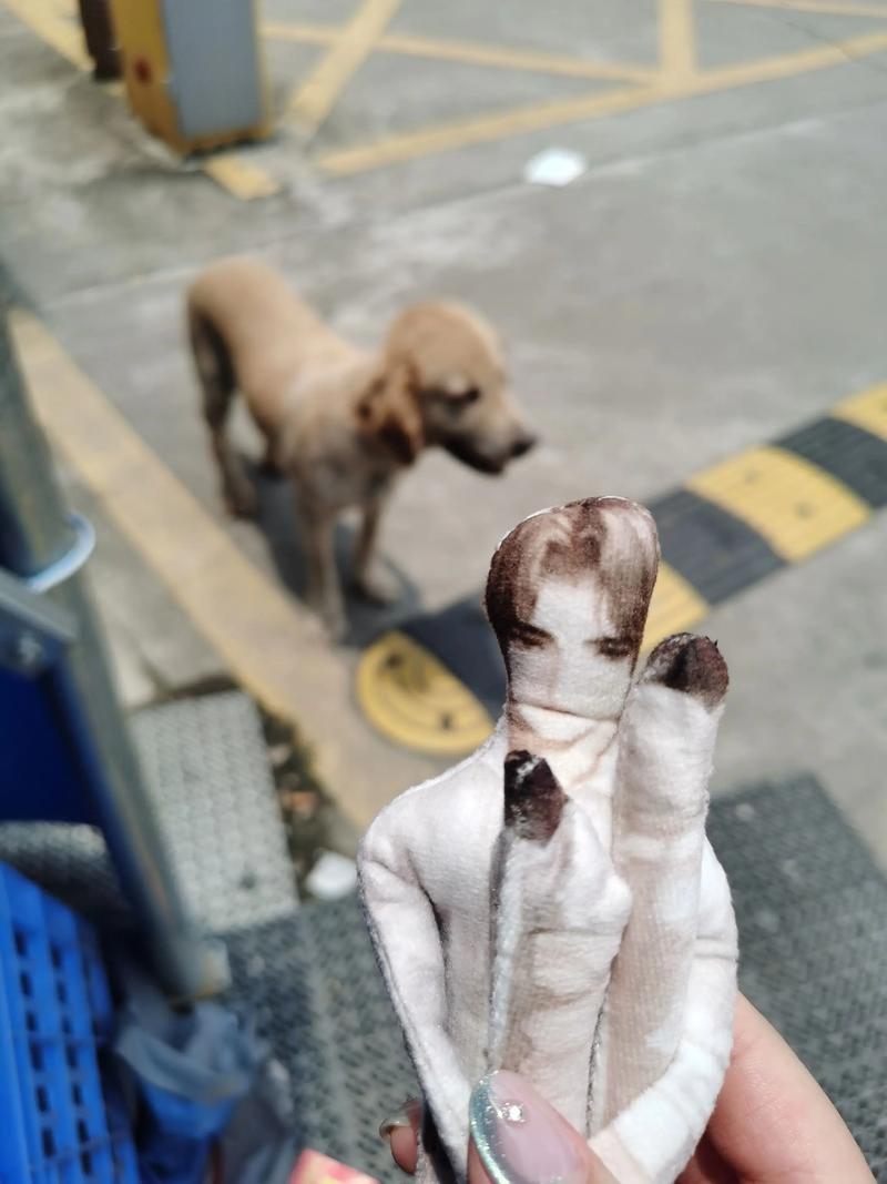 2024������Ϊʲô�������� (2024����Ķ��)