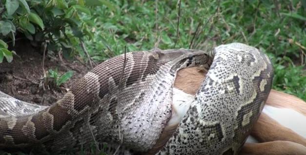 合伙人八字配对_你的合伙人八字配对能否共创双赢? 合伙人八字配对_你的合伙人八字配对能否共创双赢?