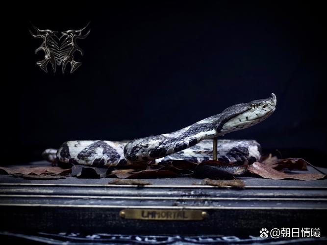 楼房多远有风水效应 楼房多远有风水效应