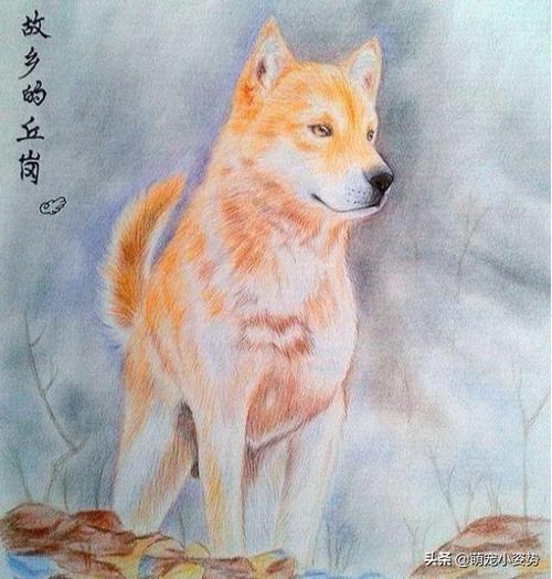 张静初霍思燕江一燕奔跑吧兄弟第5季最后一期 张静初霍思燕江一燕奔跑吧兄弟第5季最后一期