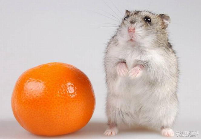 做梦梦到买鞋旅馆的风水很差 做梦梦到买鞋旅馆的风水很差