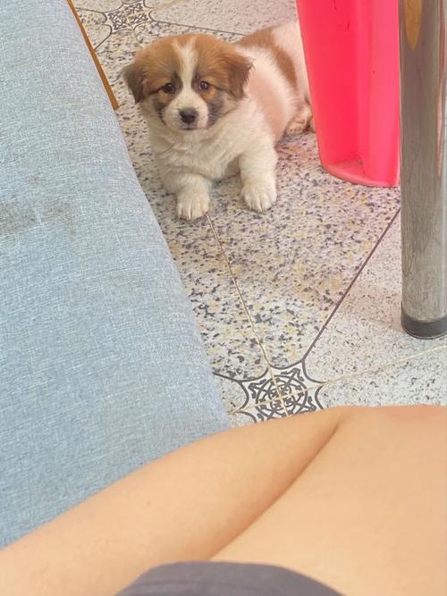 属马天蝎座的性格特点 属马天蝎座的性格特点