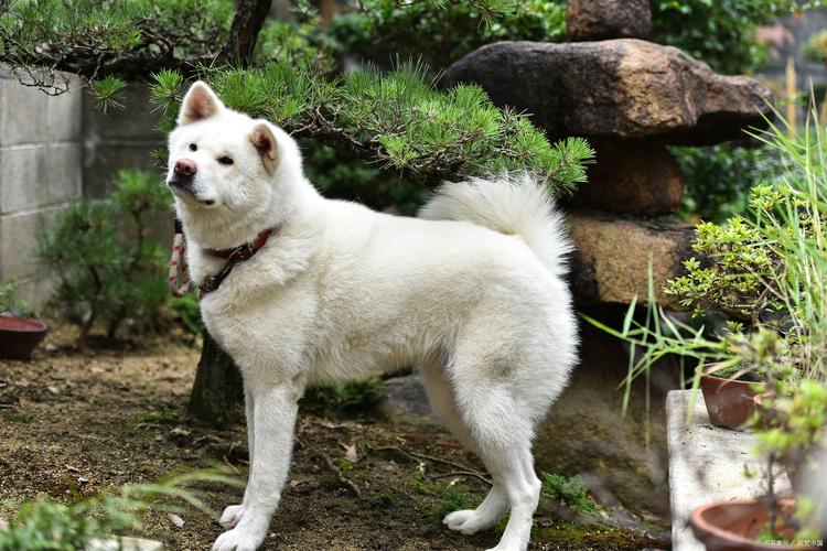 ǷӰδµְҵѡ(ǷӰδְҵѡ)