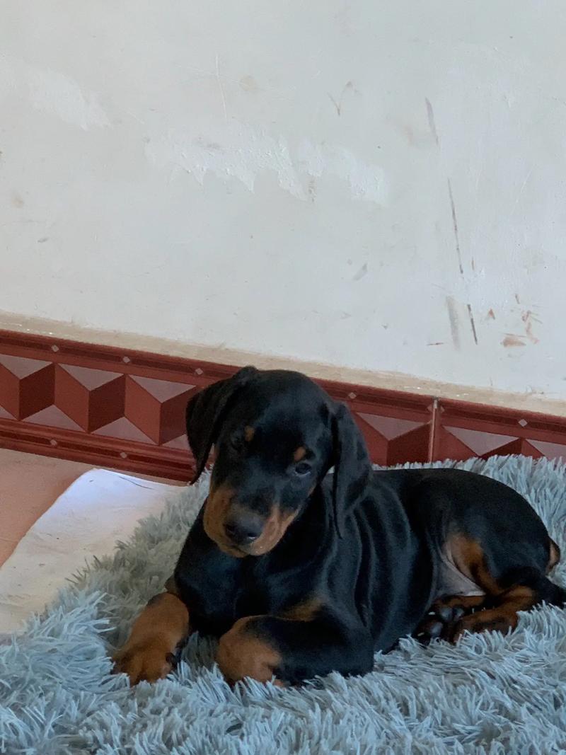 ȡʱӰ캢ӵδҸ(ȡʱӰδչǷᵼ¶)