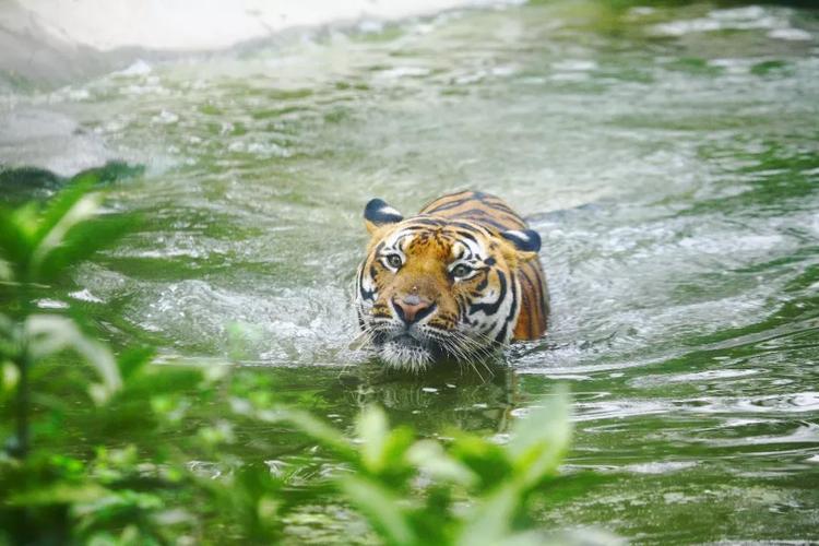 ǩ47ǩ_żĻλ(ǩ47ǩӻǩżĻǷ)