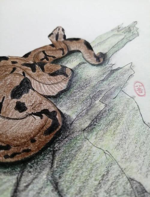 观音灵签00签我的配偶身材是否健美(观音灵签00签配偶身材是否理想) 观音灵签00签我的配偶身材是否健美(观音灵签00签配偶身材是否理想)