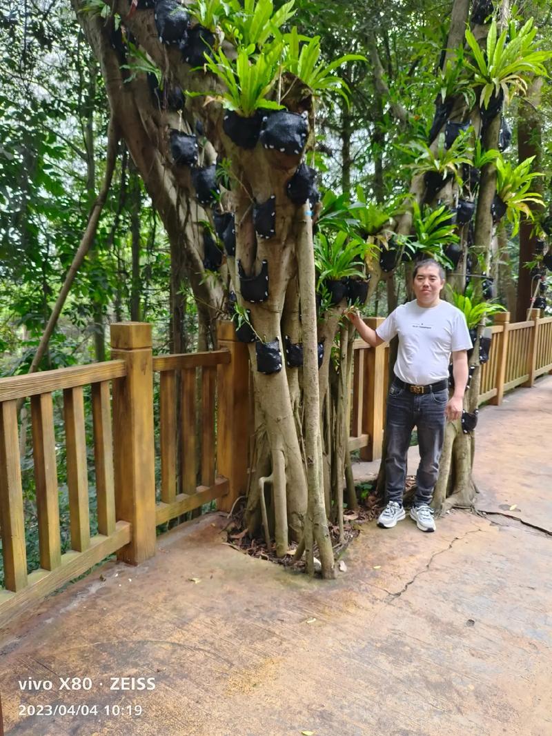 ���õ�Ů���Ը��Ƣ��