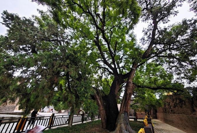 ǩʮ_صǷҪı(ǩʮ幤صǷȹ̲)