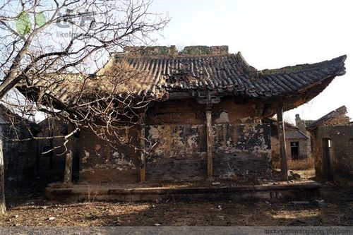 ��΢����������Ů�˳���