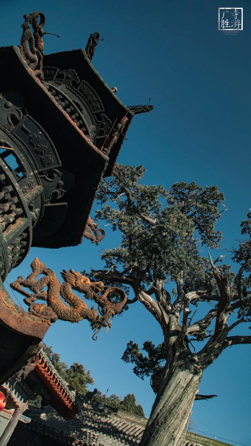 ȡкǷܻΣ(ȡкܷ񻯽Σ)