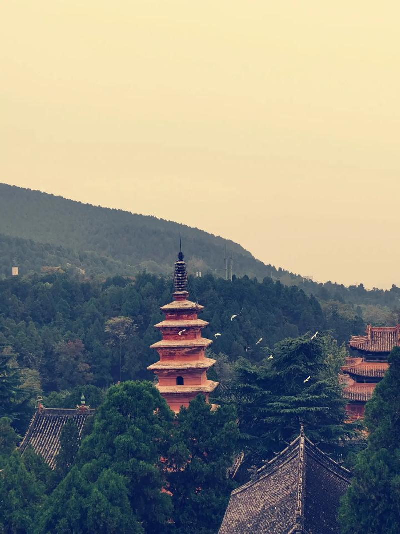 ǩ33ǩʳϰǷӰ(ǩ33ǩʳϰǷ)