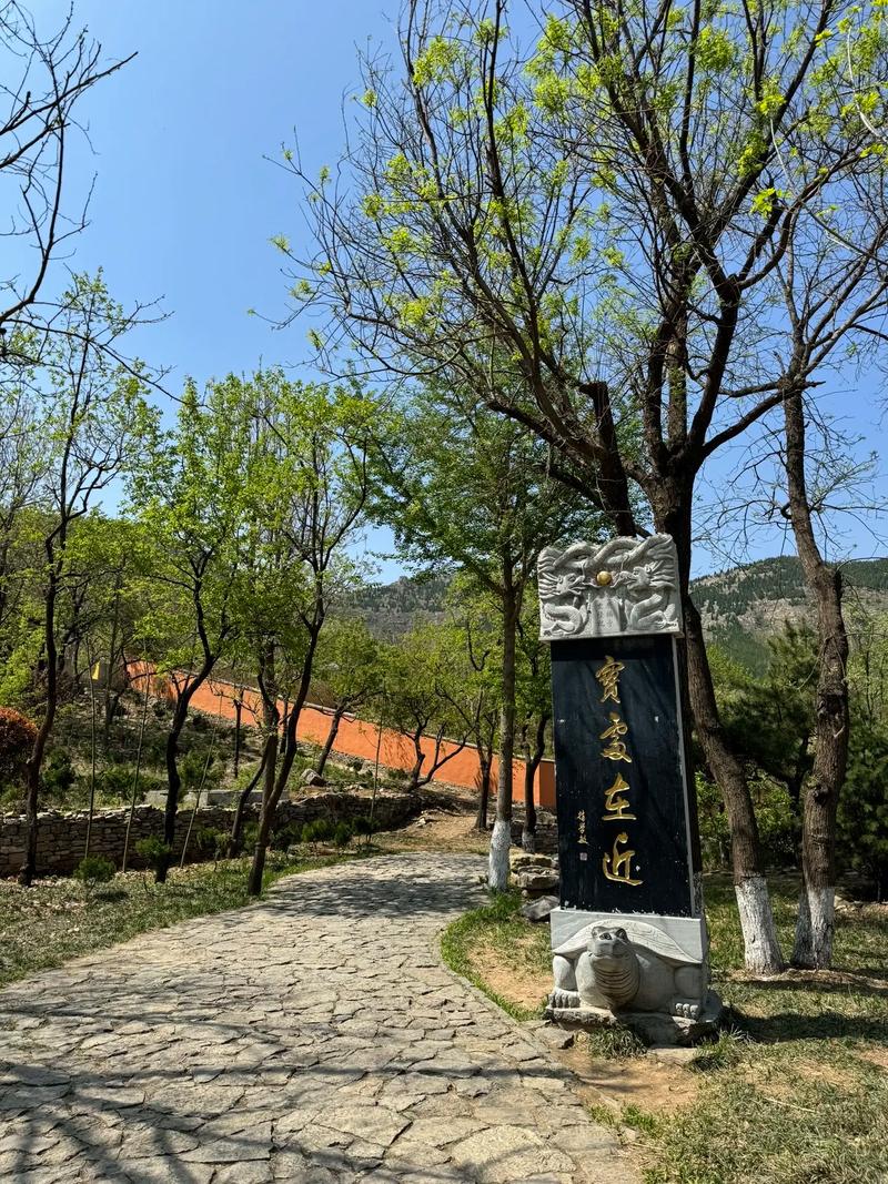 杨颖下巴图片对比照片杨颖现身时装周为什么 杨颖下巴图片对比照片杨颖现身时装周为什么