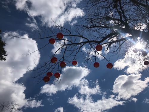 ǩ356ǩܷת(ǩ356ǩ_;״Ƿ)