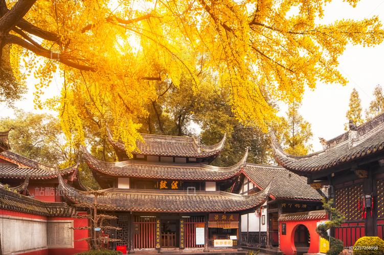 Դɽ38ǩ_мĻʲôӰ(Դɽ38ǩ_мĻʲôӰ)