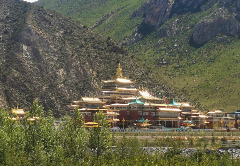 2025��ʮ����Ф�������˳�