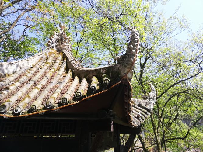 互为上升下降星座 最强大的四个上升星座 互为上升下降星座 最强大的四个上升星座