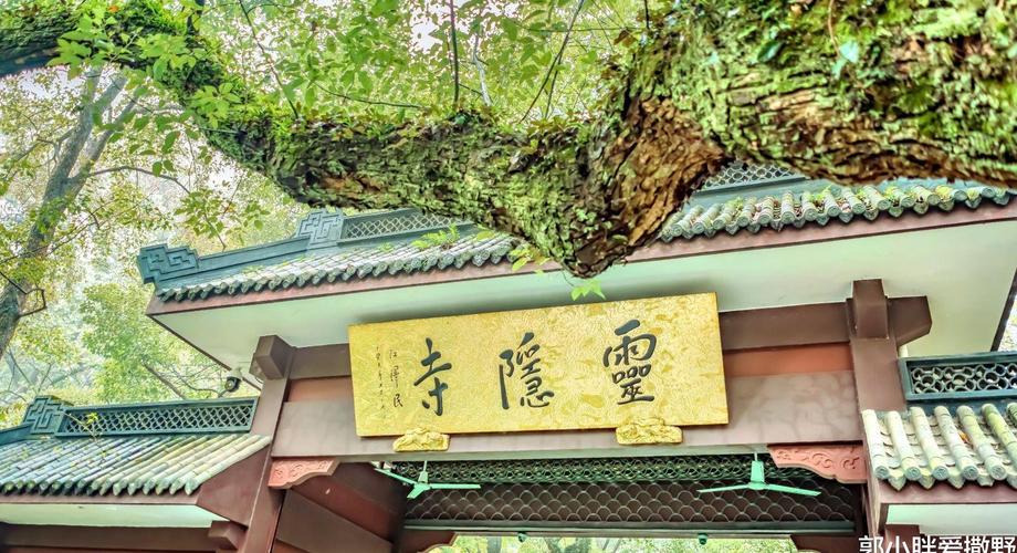大门上刻狮子风水禁忌 大门上刻狮子风水禁忌