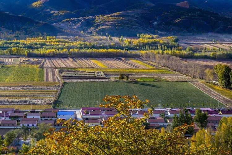 �����������Ǹ��ӹ�ϵ ����������ĸ�����ʲô��˼��