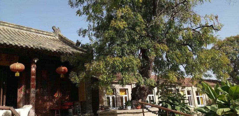 才华横溢 身材超好 有颜值 三观又正的星座有哪些 12星座男生谁最 才华横溢 身材超好 有颜值 三观又正的星座有哪些 12星座男生谁最