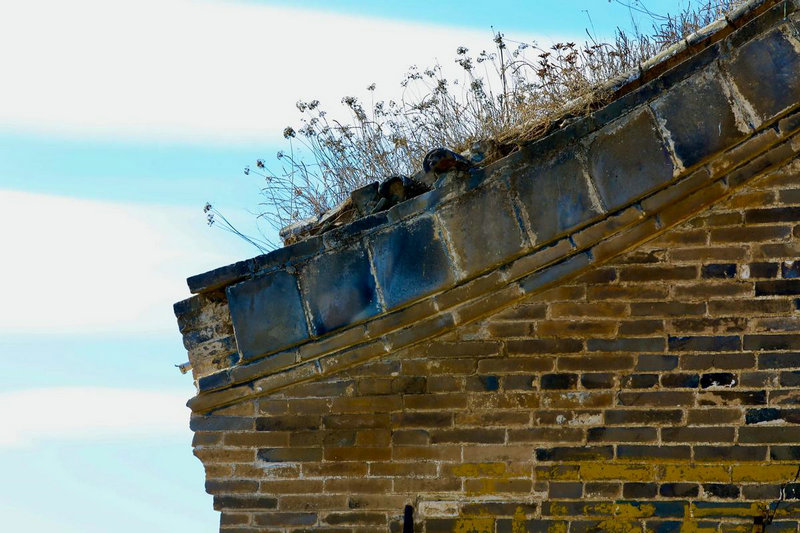 лС49ŮѸ84лǰ޵Ҳ