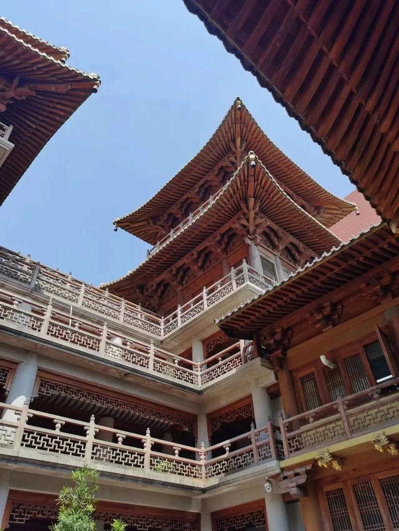 属鼠命运 属鼠的命运详解