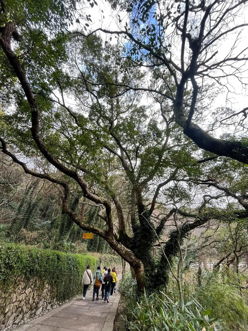 2025ˮƿȫ ˮƿ2025ȫ˳