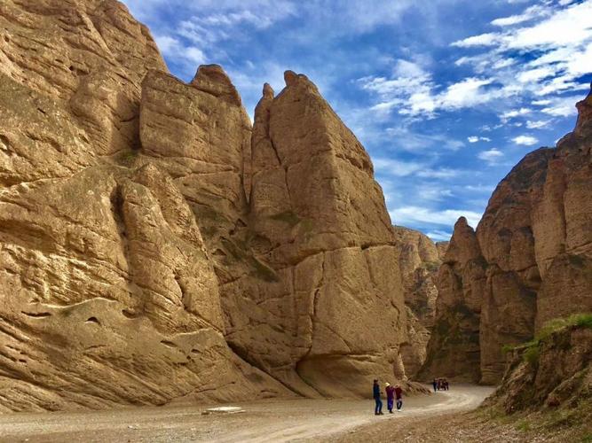 �ĵ��ڵ�ӰԺ(�ĵ��ڵ�ӰԺ���շ�ӳ���)