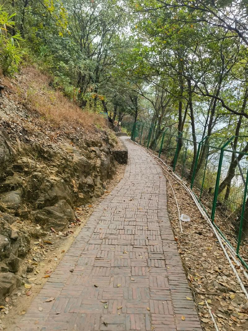 属鼠和猫婚姻合不合财 猫鼠怪谈是什么意思? 属鼠和猫婚姻合不合财 猫鼠怪谈是什么意思?