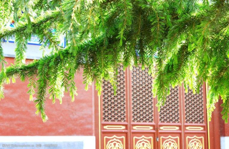 93年属鸡适合戴什么首饰 属鸡的戴什么转运招财 93年属鸡适合戴什么首饰 属鸡的戴什么转运招财