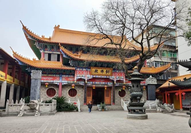 ںΰݹʲôӾ磿Ϸܲרҵ