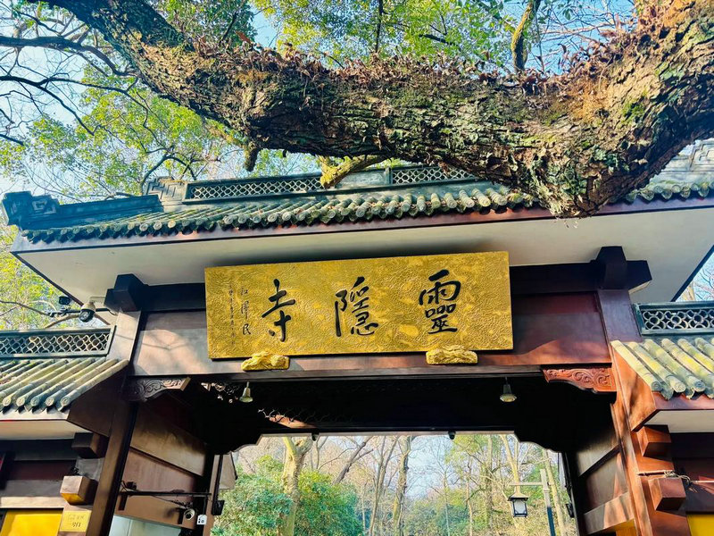 ˮƿܾ ˮƿܾҪôദ