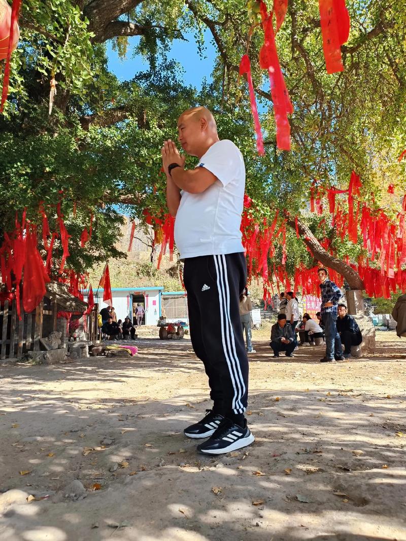 ���ٻ��Ϲ�����������