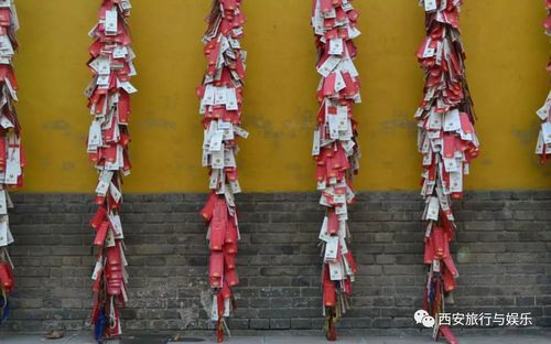 ���շ��͸�������������