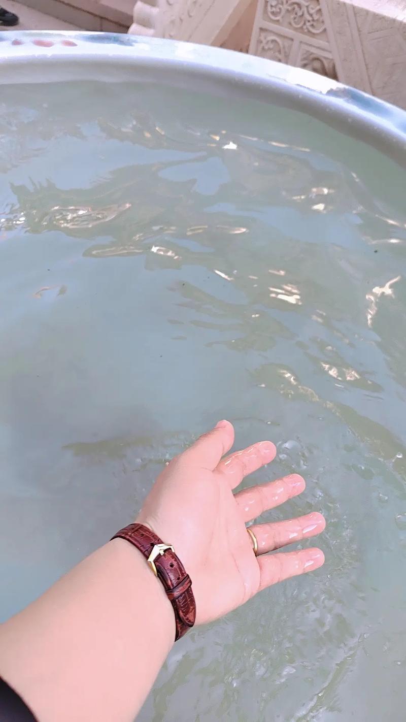 对于6cq20车牌号码测吉凶打分的结果是否会影响我的运势和生活质量你了解吗 对于6cq20车牌号码测吉凶打分的结果是否会影响我的运势和生活质量你了解吗