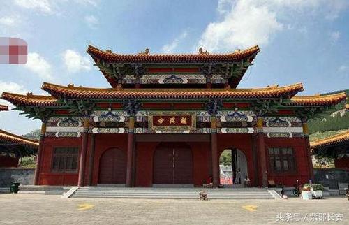 属狗女人2025年的运势 2025年属狗人的全年运势女 属狗女人2025年的运势 2025年属狗人的全年运势女