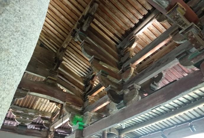 ƺ⼪ֲѯ׼ȷԤһ˽һ