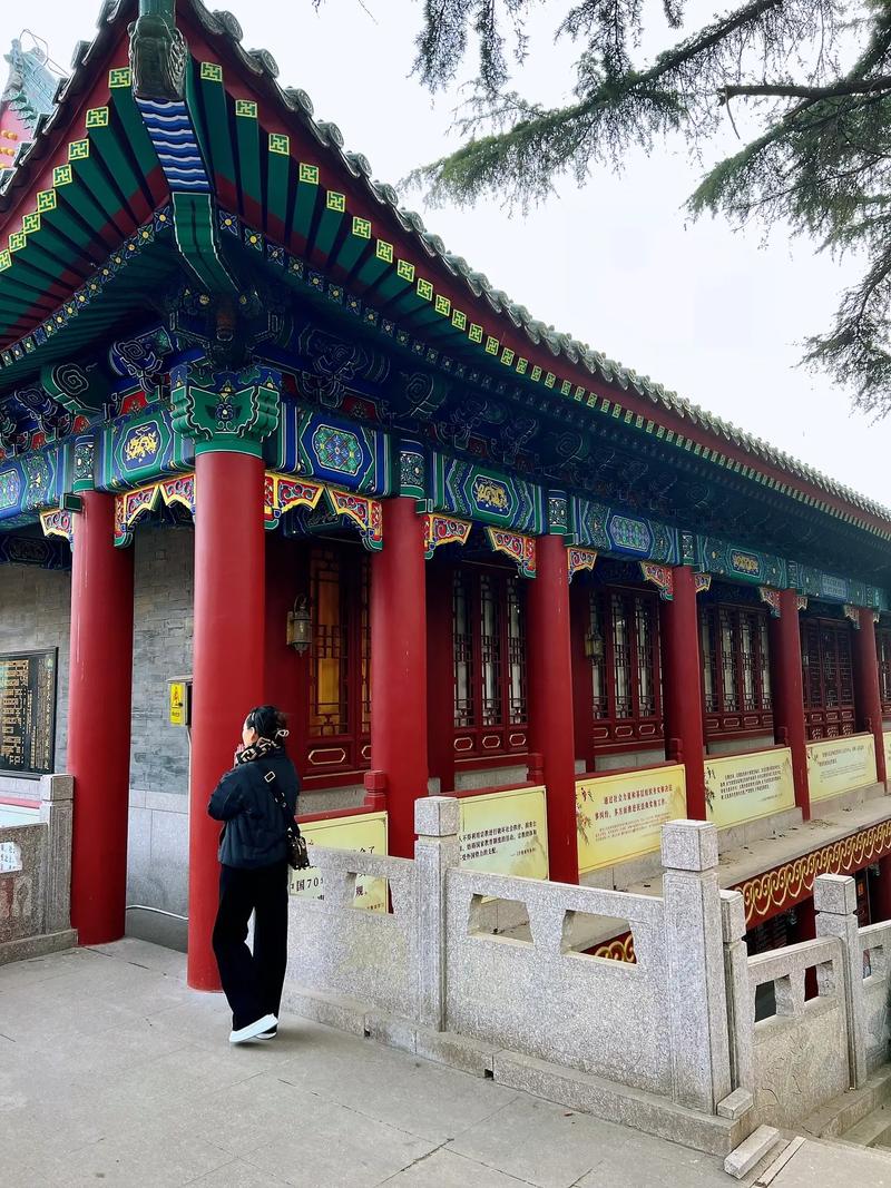 1993³ʲô 1993³ĳʲô