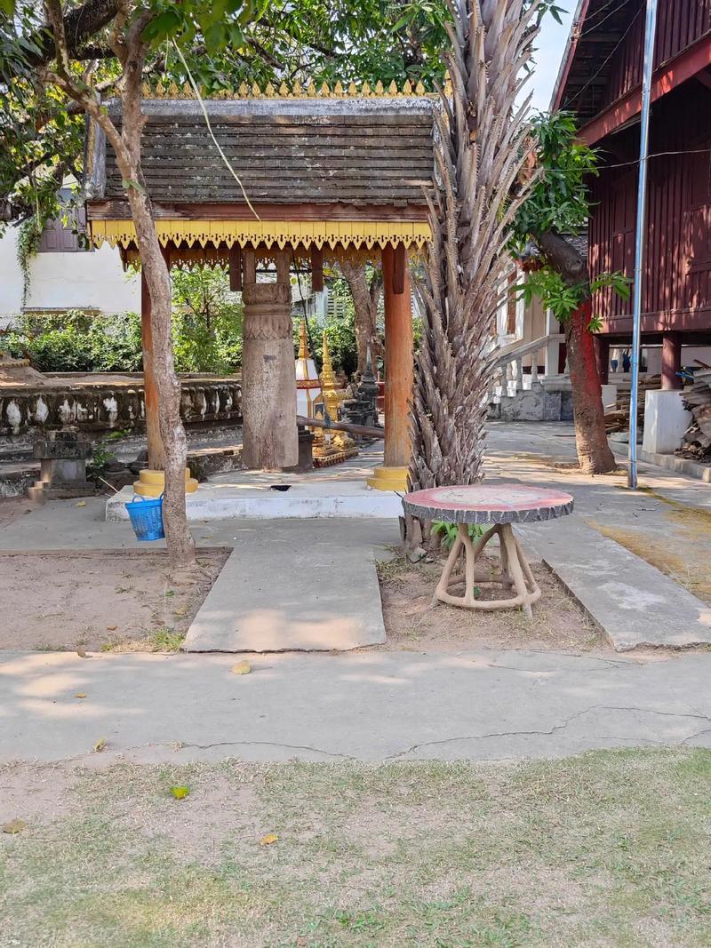 ְҵ׼ȷԤδҸѡʵʦ