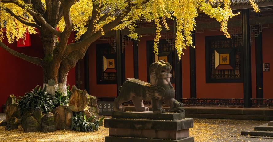 ˳̺Ͳ˷λ 83˳ʲô˼