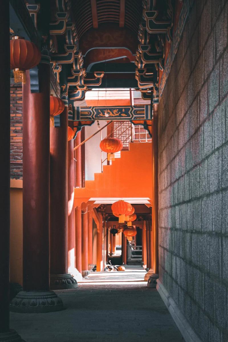 ̲׼ȷԤҵδҸѡʵĽ̲ѧϰ