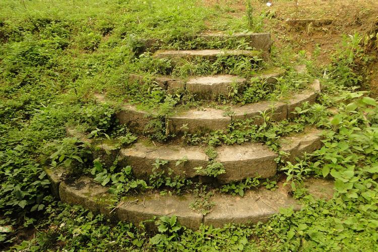 ӹʳƷ޹˾ʱοѧҵѹ˥Ĺϵ(ӹʳƷ޹˾ǷӰѧҵѹƽ)