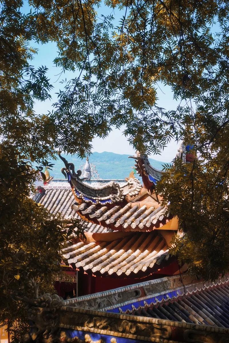 ���������Ů��