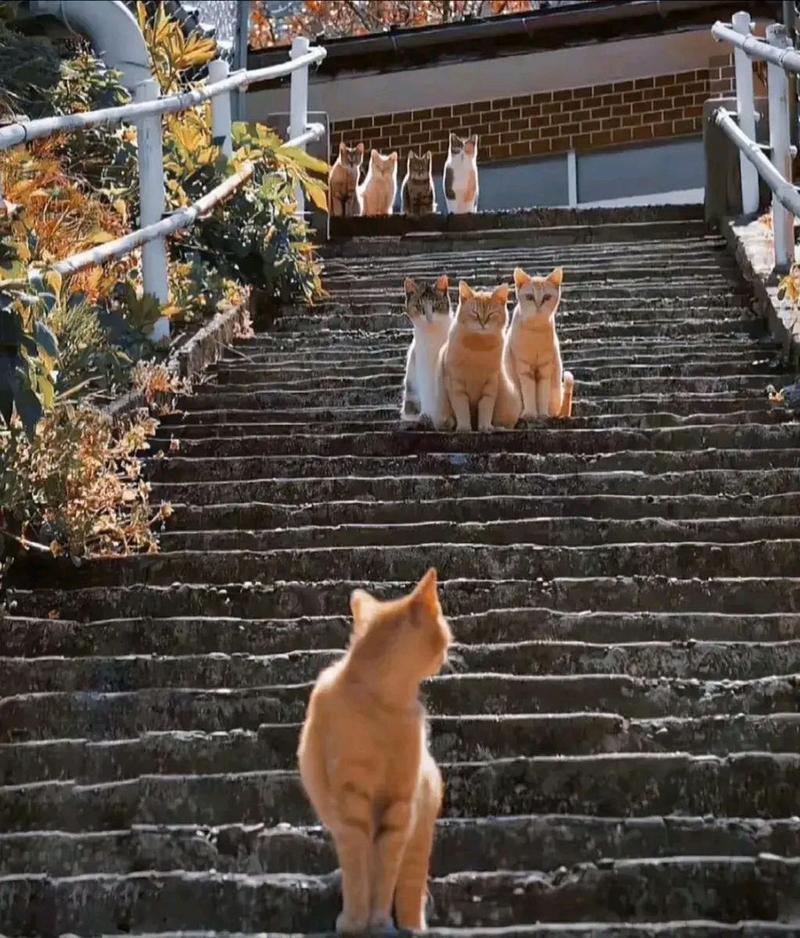 左右脸不均面相 左右脸不均面相