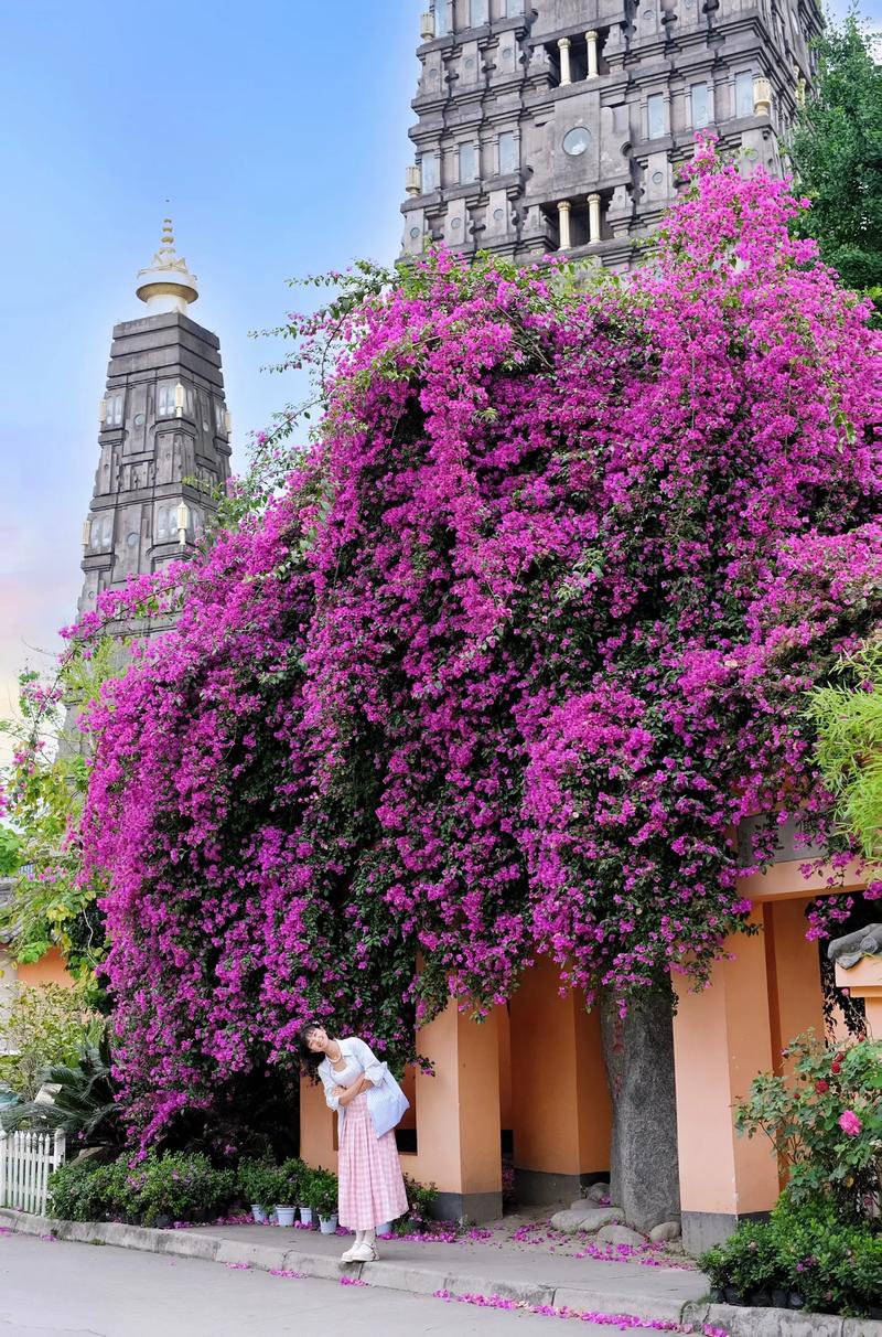 明星宝宝乳名大全 明星宝宝乳名大全