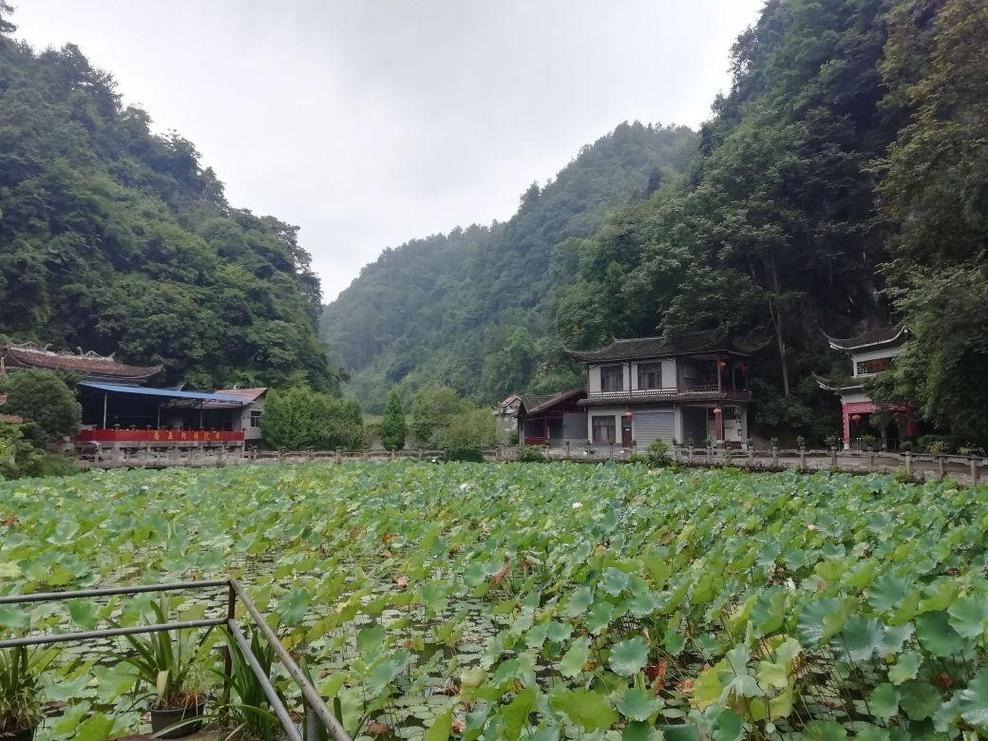 ¹ϣ2012˳̳¹ϣѴԷ