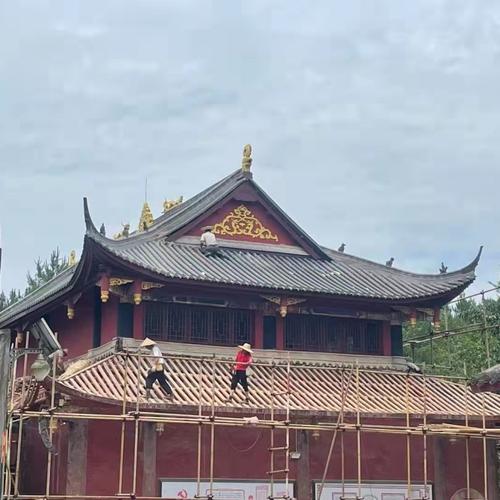 十九日出生的属虎命运如何 十九日出生的属虎命运如何